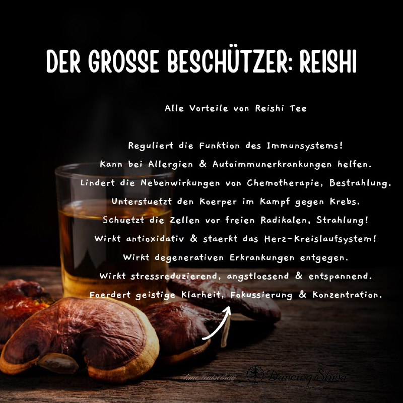 ***?*** **Reishi Sporen –** [**Die Essenz …