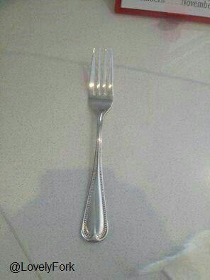 The Same Photo of a Fork …