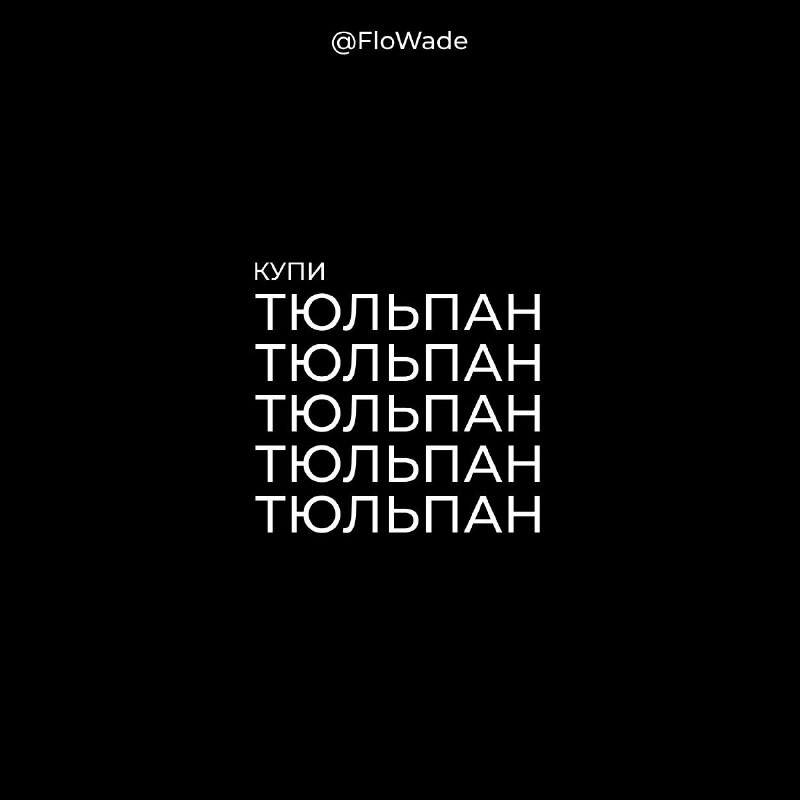 все любят давида