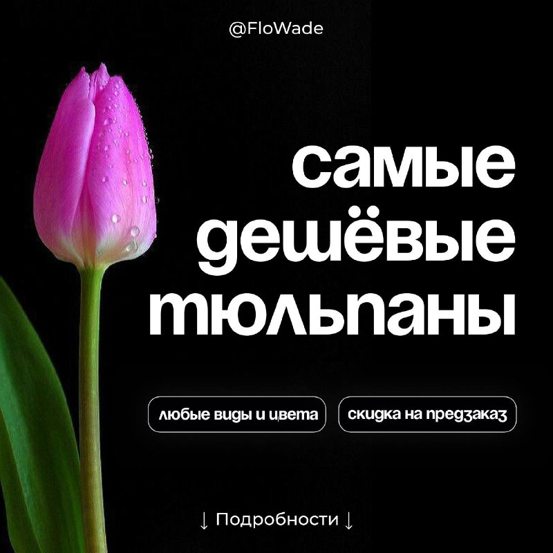 Не хотите 8 Марта бегать в …