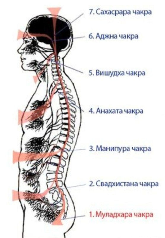 Мир Таро и эзотерики ✨ Программные …