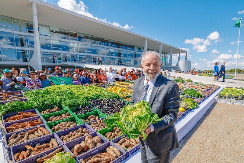 Alimentos mais baratos e saudáveis, com …