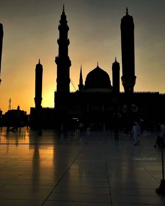 أضحى فؤادي مُنيراً