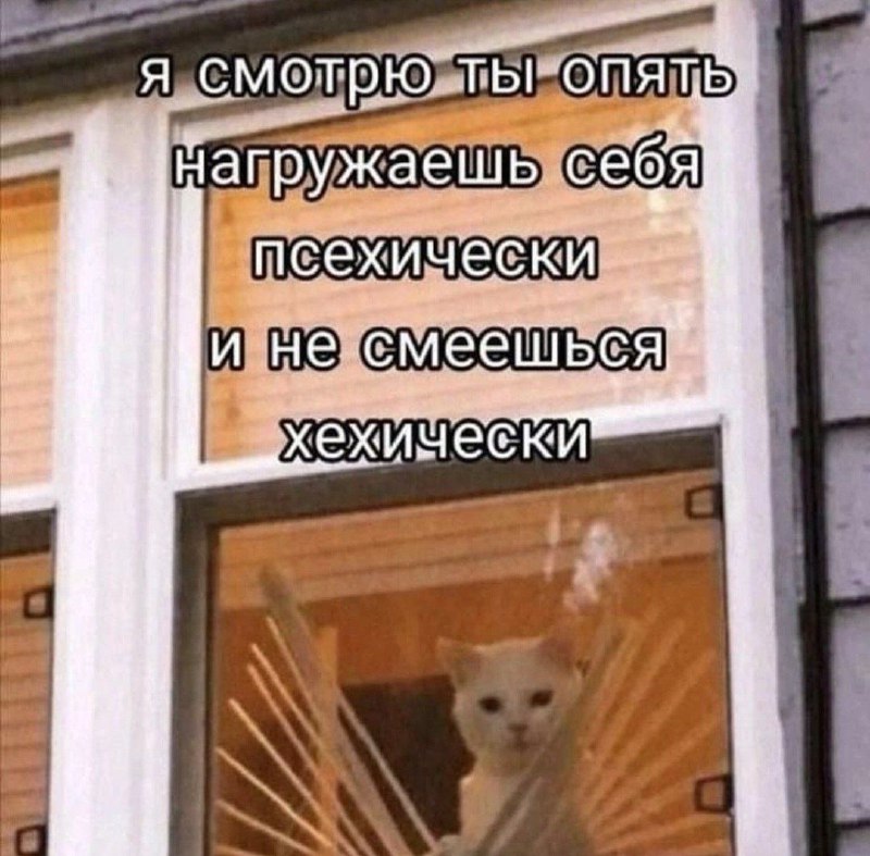 Мемы, которые присылает брат &gt;&gt;&gt; всё …