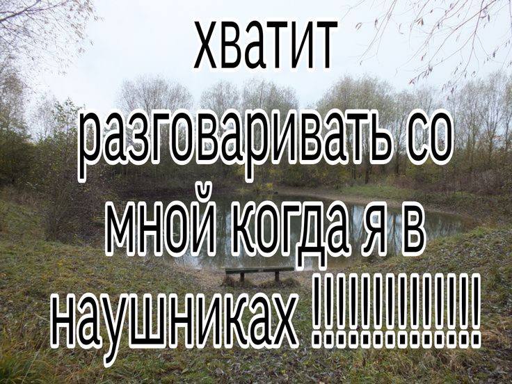 чонвонши 🦊