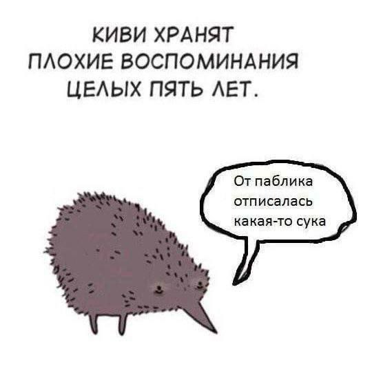 moon memes