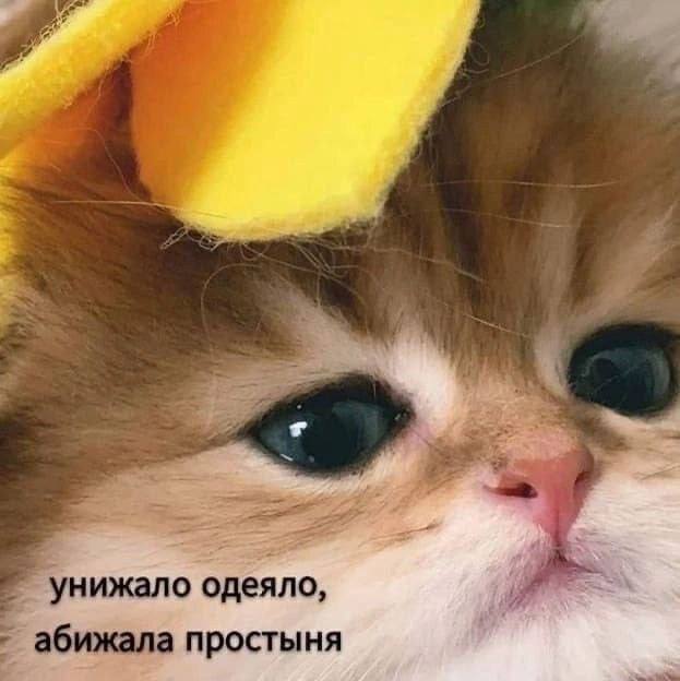 доброе утро ***?***