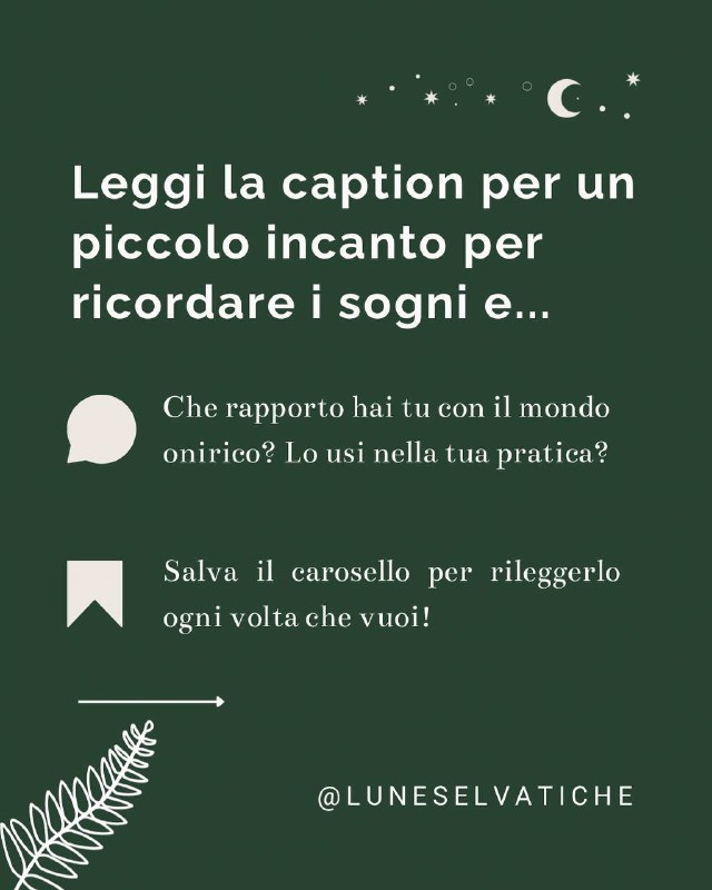 🌿 Lune Selvatiche • Canale ufficiale