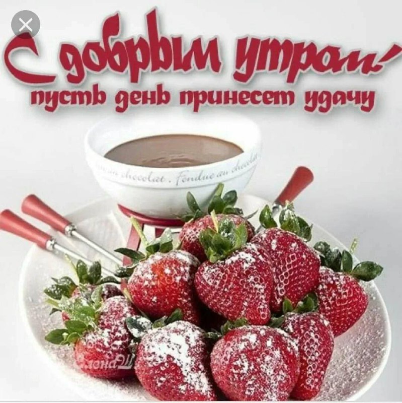 Доброе утро ***🌸***