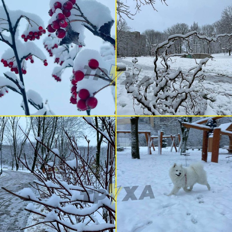 ***❄️*****Зимовий Львів у всій красі!**