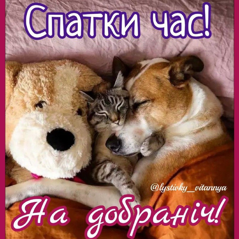 ***🌌***[#наДобраніч](?q=%23%D0%BD%D0%B0%D0%94%D0%BE%D0%B1%D1%80%D0%B0%D0%BD%D1%96%D1%87)