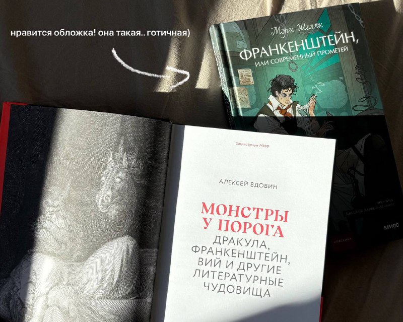 ***🤩*** ***🩶****новые книги от издательства «миф»!!*