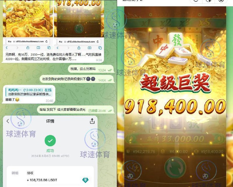 龙珠体育