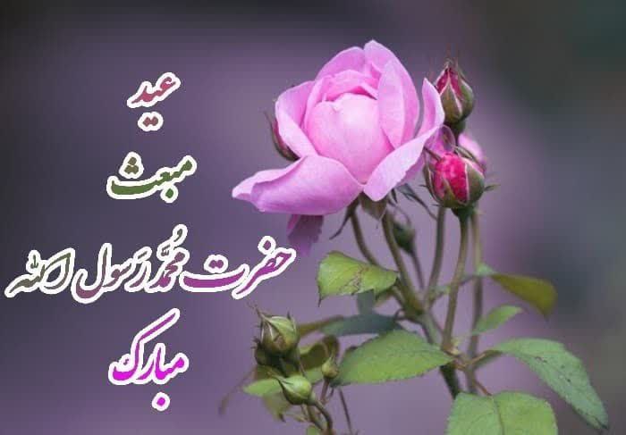 م_ رضا یوسفی