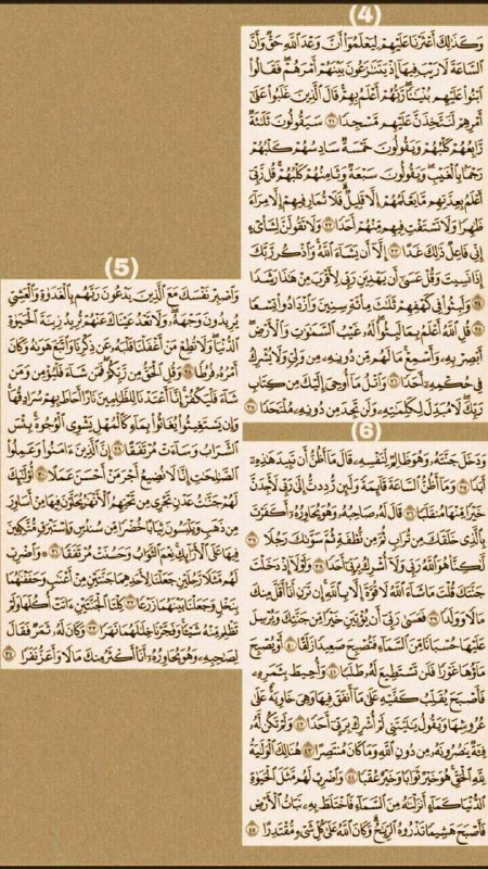 مْوٌحہدِه 🌸