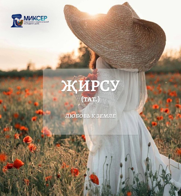 Медиасоюз «Миксер»