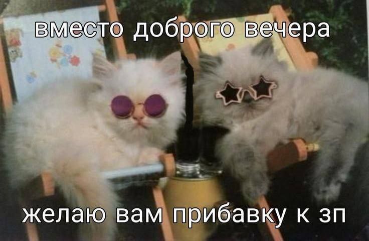 Всем ку!! ***👋***