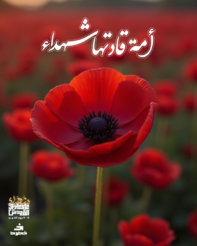 في وطننا، دماء سالت وامتزجت بترابه، …