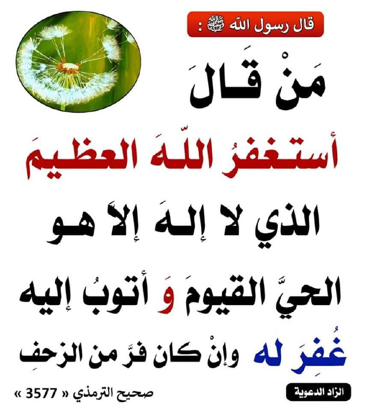 1000 حديث صحيح