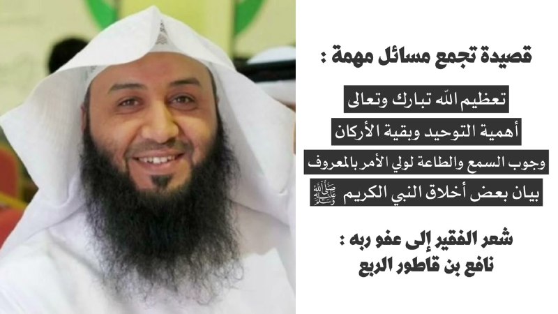 مصابيح الدجى