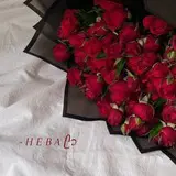 [توجيه ونوجه منك ***?***.