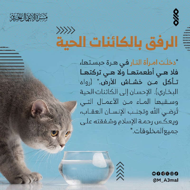 مبرة الأعمال الخيرية