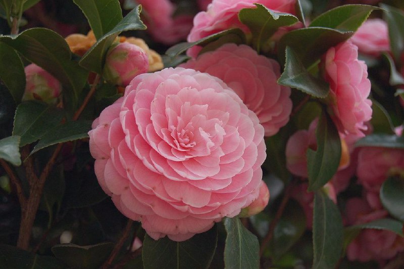 زیبایی طبیعت°°°🌷