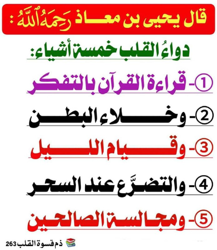 قناة مناسك الحج والعمرة والاعمال القلبيةبهما