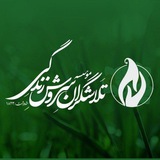 *****🌹***جمع بندی پایان روز یکشنبه28/11/1403***🌹***