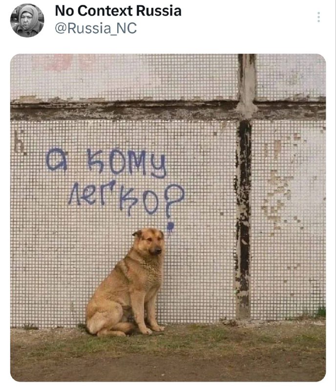 Мемный Канал 😂😹 | MA