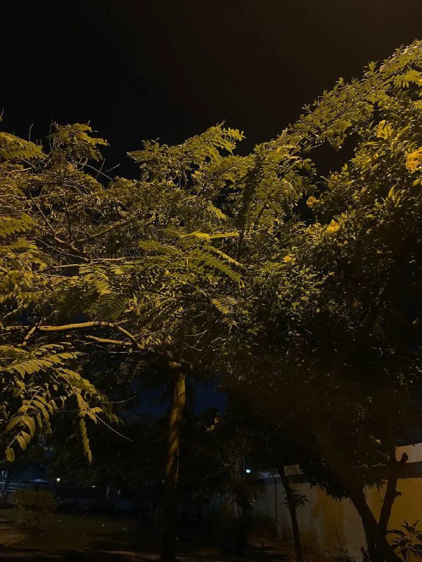 تصوير اليوم ***📸******🍁***