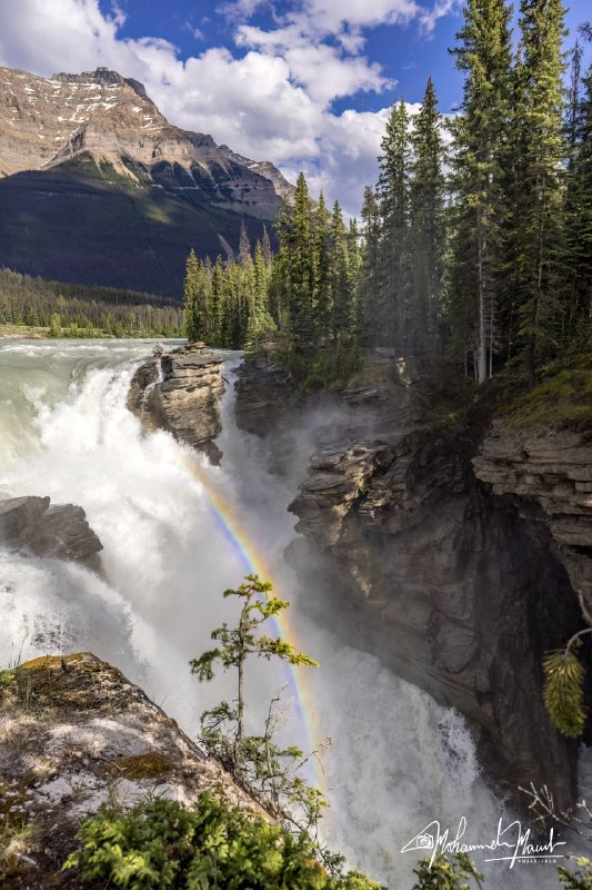 Athabasca Fall, Jasper National Park, Alberta, …