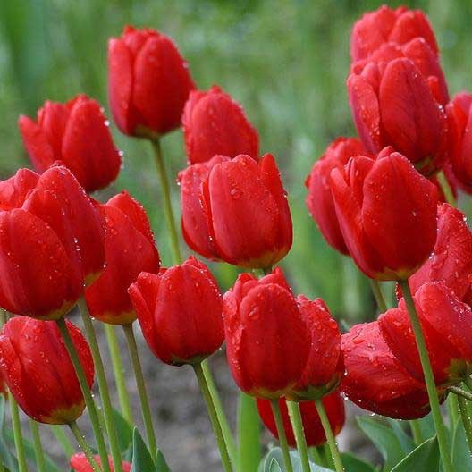 نمی‌تونی به عقب برگردی و گذشته …