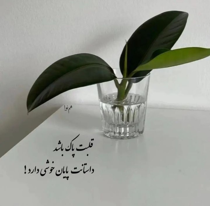 ***⭕️*** شش درس مهم زندگی که …
