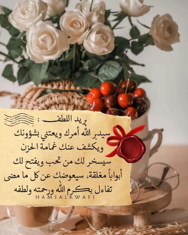 🍃 ڪنز المهموﻣ 🍃