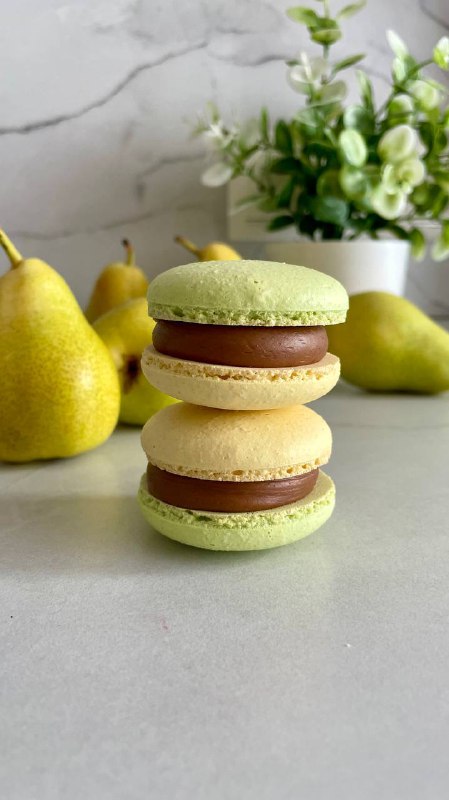 Macaron.on