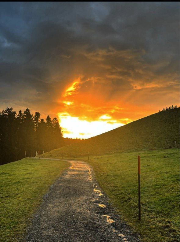 Einen wunderschönen guten MORGEN ihr lieben …