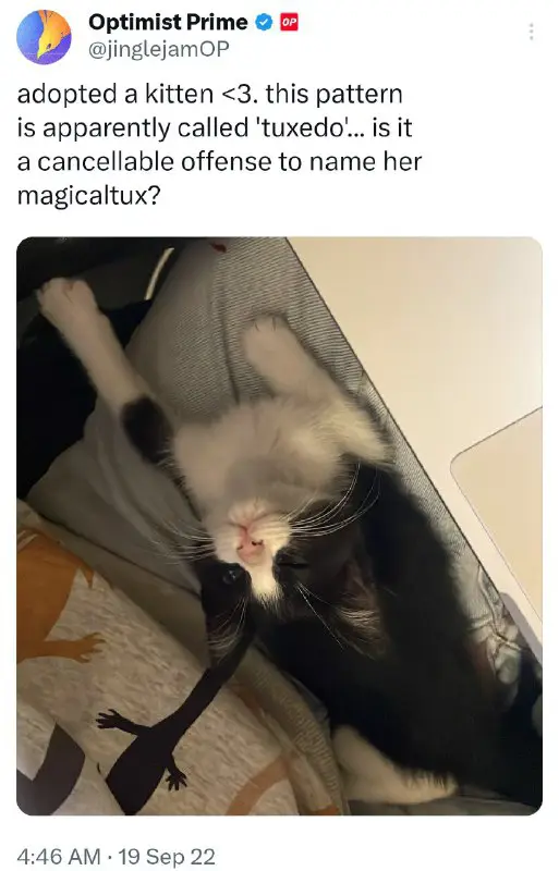 Magicaltux is the cat of Optimism …