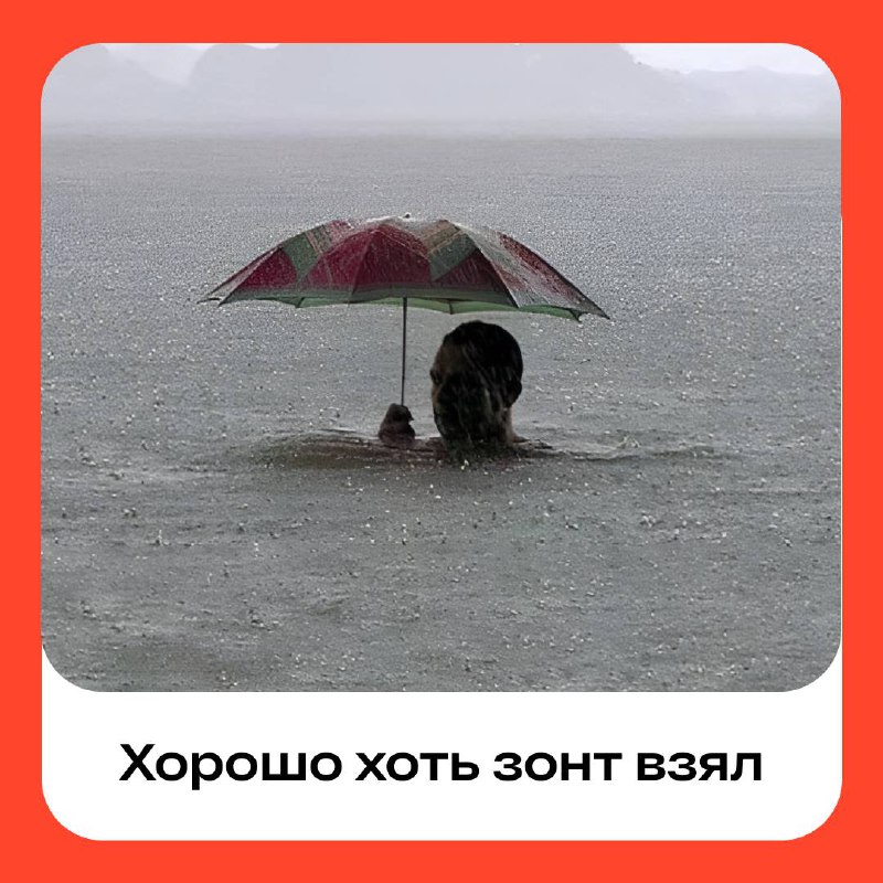 **Сутки до рекордных ливней** ***🌧***