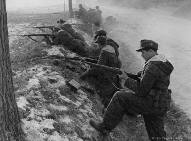 Wiking SS katonák Magyarországon