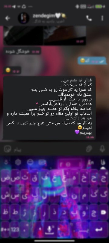 "گربه کوچولو"