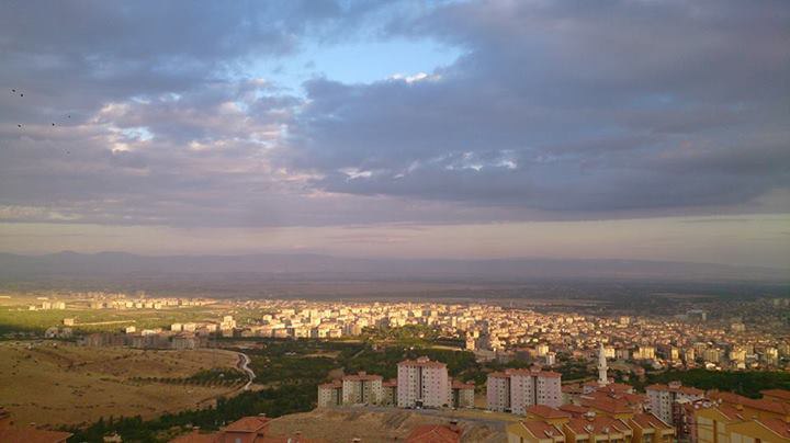 زانیاری