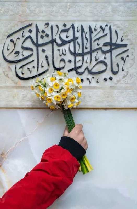 گفت می‌دونی چرا هرجا می‌خوان