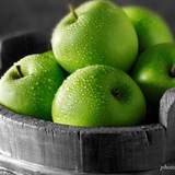 سلام و درود و احترام. سلسله …