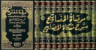 الشيخ محمود المدني