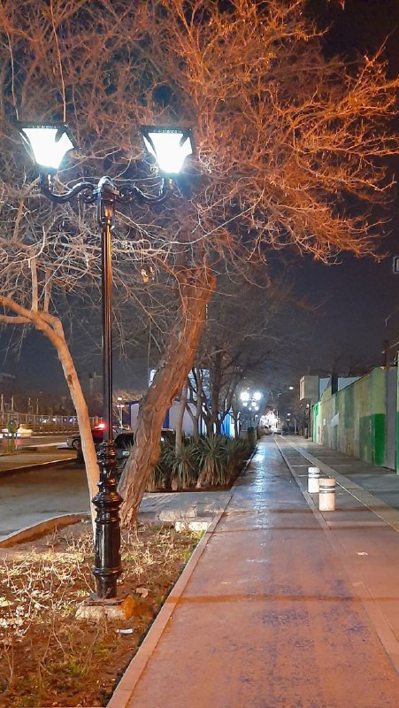 [#شب](?q=%23%D8%B4%D8%A8) دلتنگی‌هایم را قدم می‌زنم...