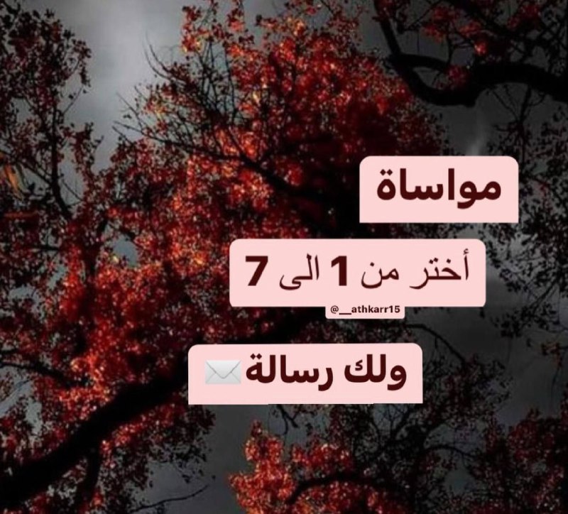 اختر رقم رسالتك اليوم ***☺️******👇***