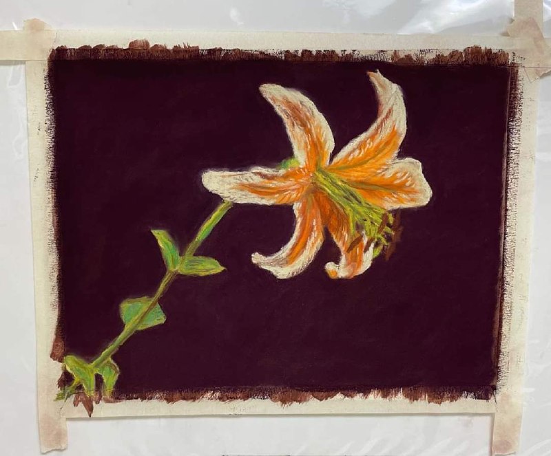 My pastel work from a class …