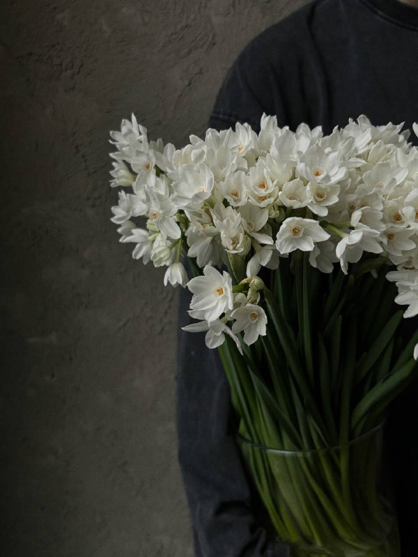 Maison Cassiopée — flowers.