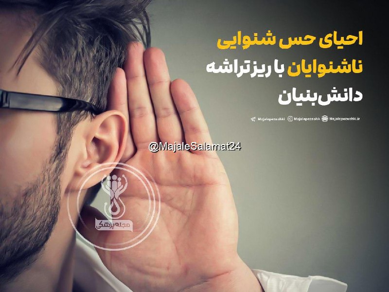 احیای حس شنوایی ناشنوایان با ریزتراشه …